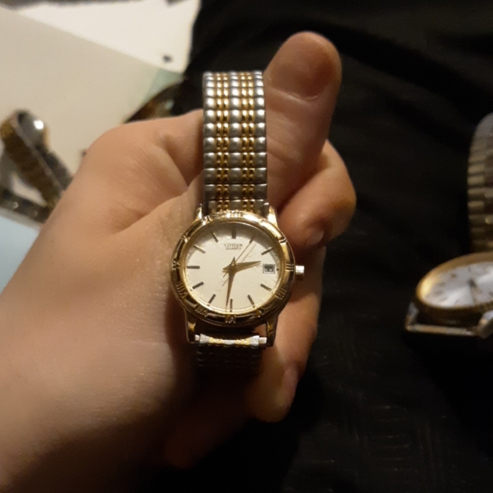Citizens quarts watch